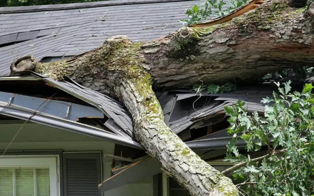 The Role of Documentation in Winning Hurricane Damage Claims